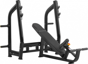 H-025 Bronze gym h-025 скамья для жима с положительным наклоном (чёрный) Bronze Gym