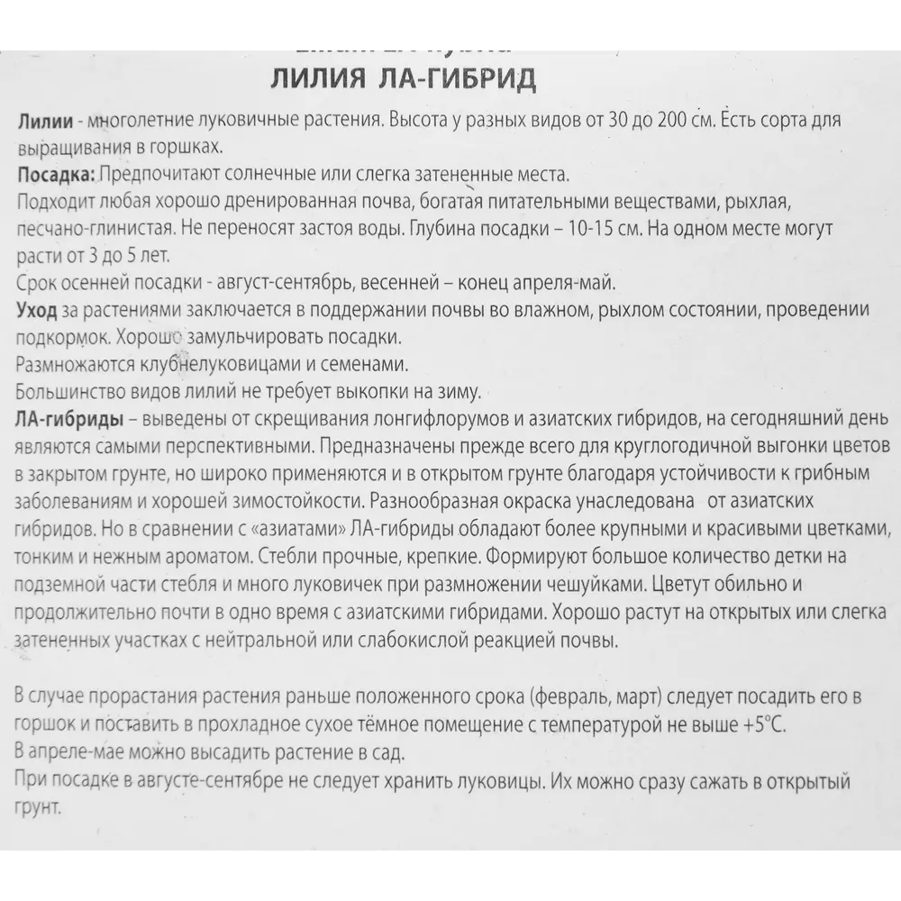 Лилия ла-гибрид Свит Дизайр 85205738 STLM-2199712 ПОИСК  - Вид №2