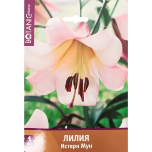 Лилия Истер Мун 12/14, 1 шт 82539363 STLM-2163481