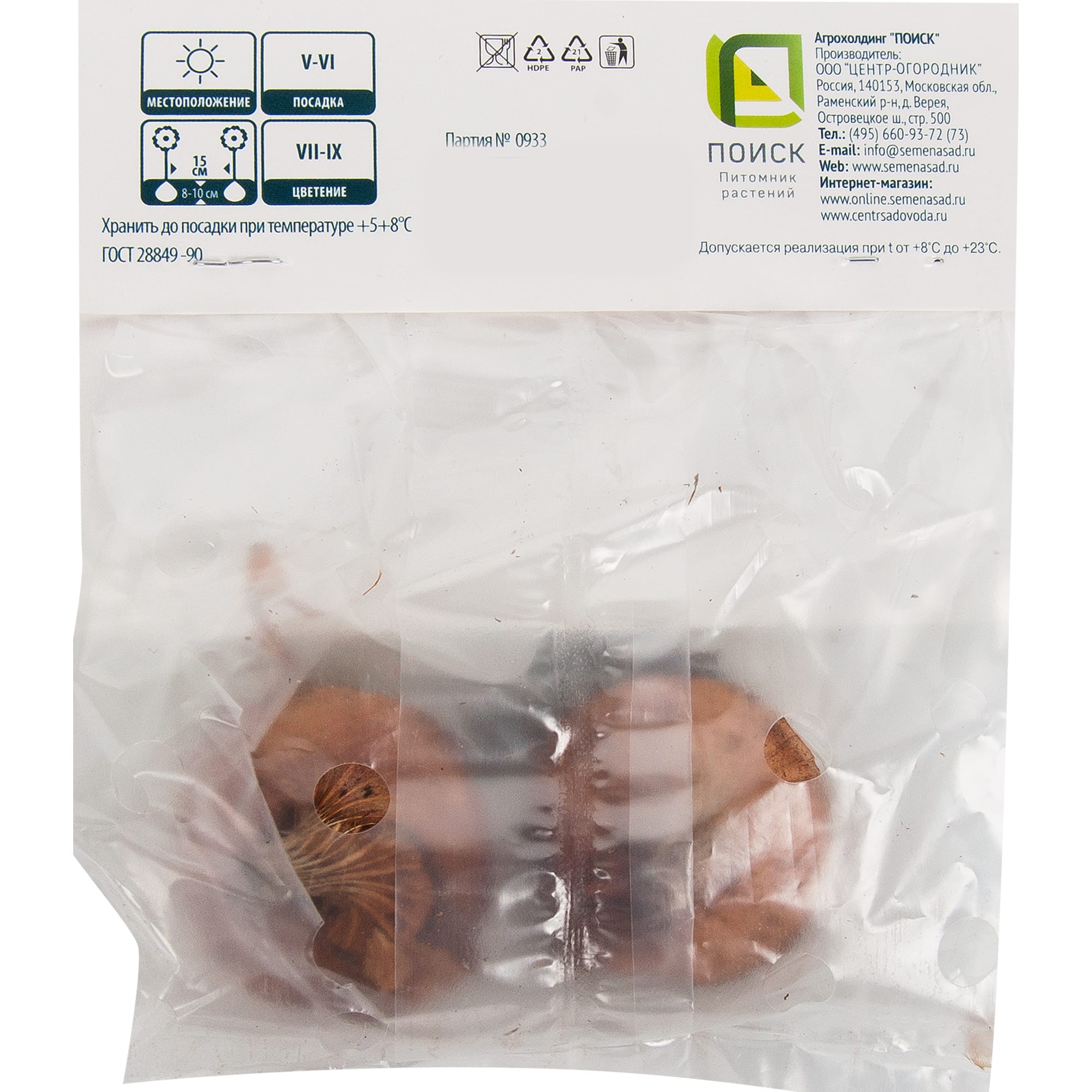 83596499 Гладиолус крупноцветковый Вайн Энд луковица 10/12 Santreyd  - Вид №1