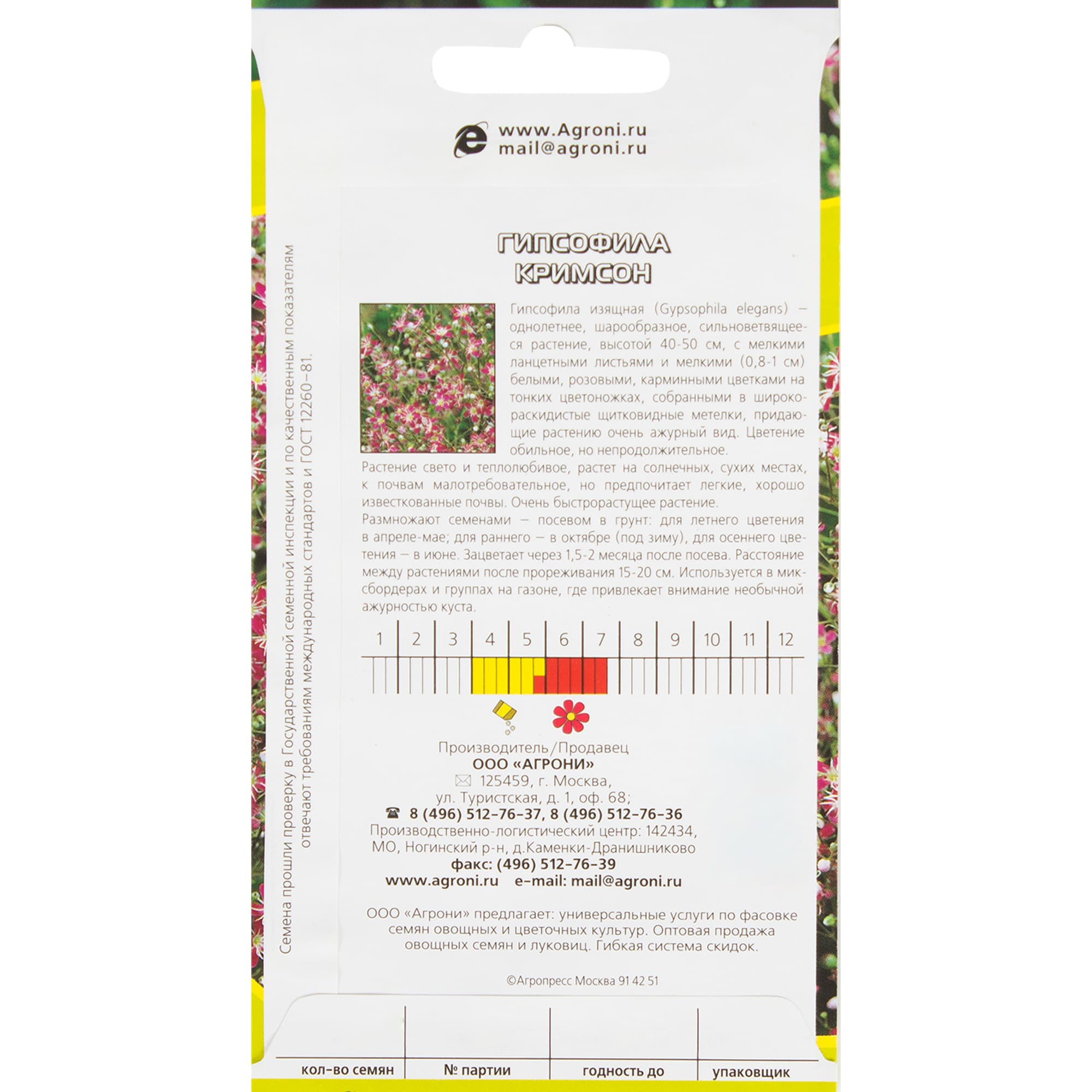 13067175 Гипсофила розовая Santreyd  - Вид №1