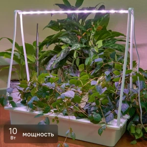 Фитосветильник Minigarden Фито Лето ULT-P44N-10W/SPLE 540 мм 10 Вт розовый свет