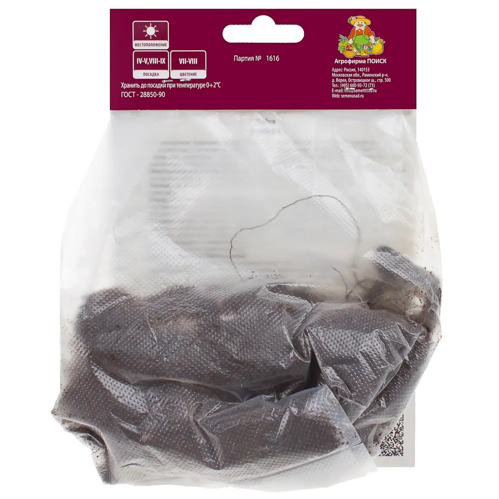 Мальва «Нигра» с капером цвет розовый Santreyd STLM-2142658 - Вид №1