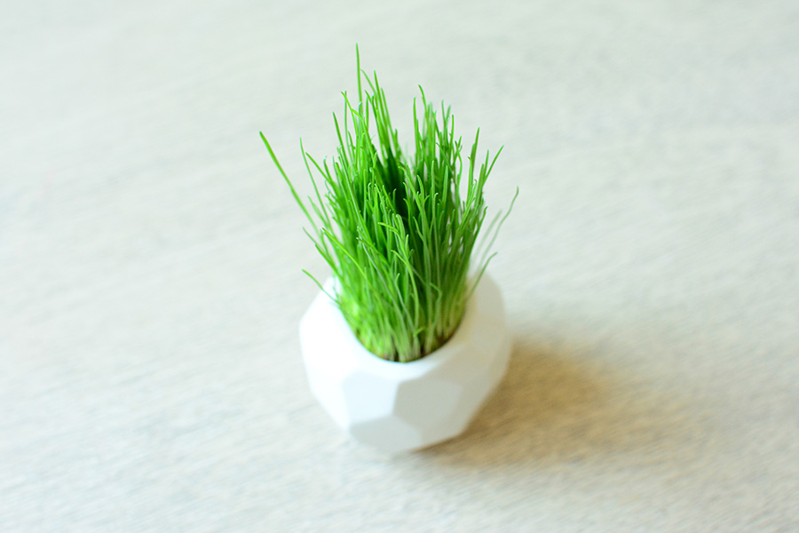 STM-2-02 Набор для выращивания eco мини-кашпо "камушек" Экочеловеки  - Вид №1