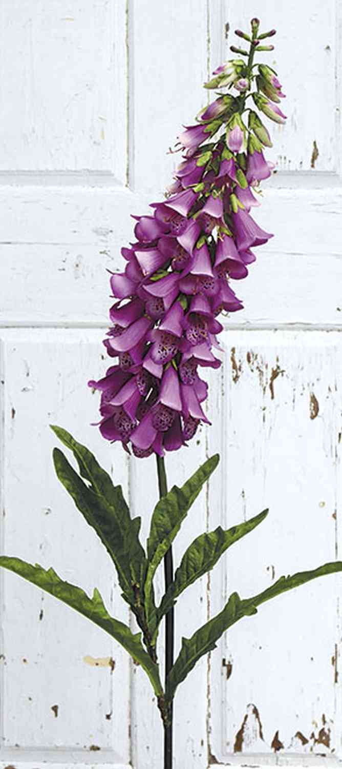 3223 222 a3 Наперстянки искусственные (Digitalis), 127 см, темно-фиолетовые H-andreas  - Вид №1