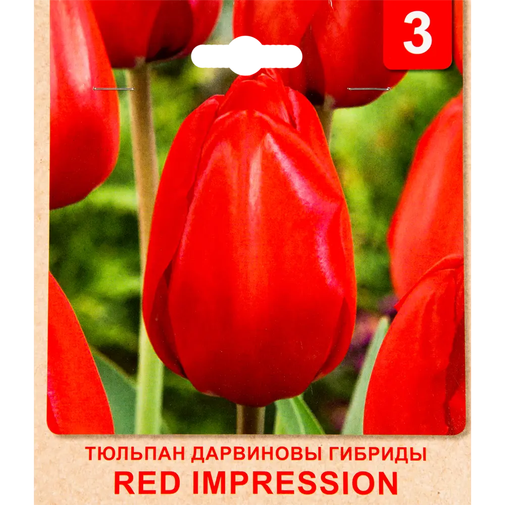 Тюльпан «Red Impression» размер луковицы 10/11, 3 шт. 82365331 STLM-2149510 Santreyd 