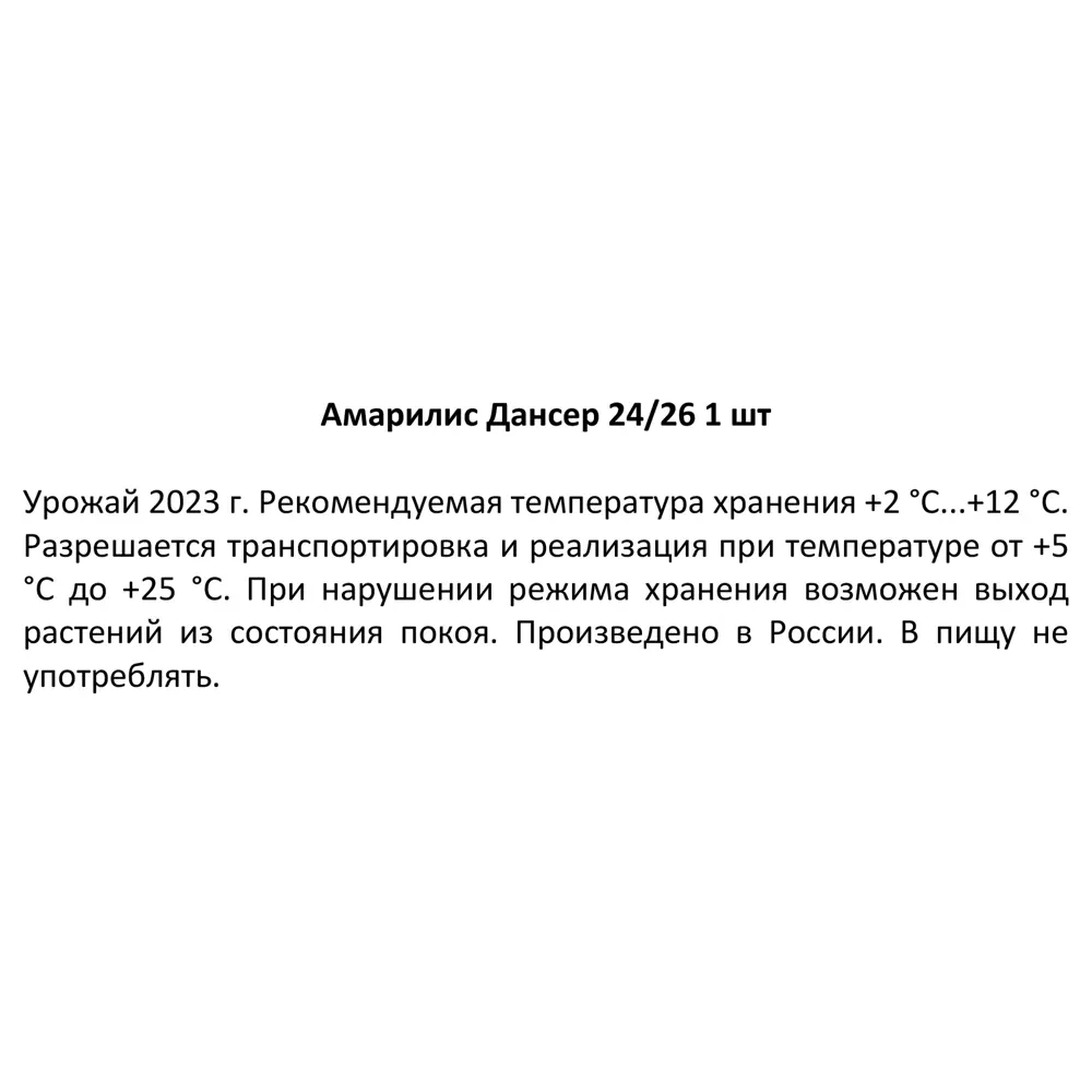 Амариллис Дансер луковицы 24/26 89354467 STLM-2031829 Santreyd  - Вид №2