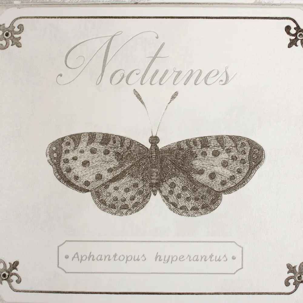 Обои виниловые Бабочки 0.53х10 м цвет бежевый Ra 306514 Rasch Deco Relief STLM-2113785 - Вид №2