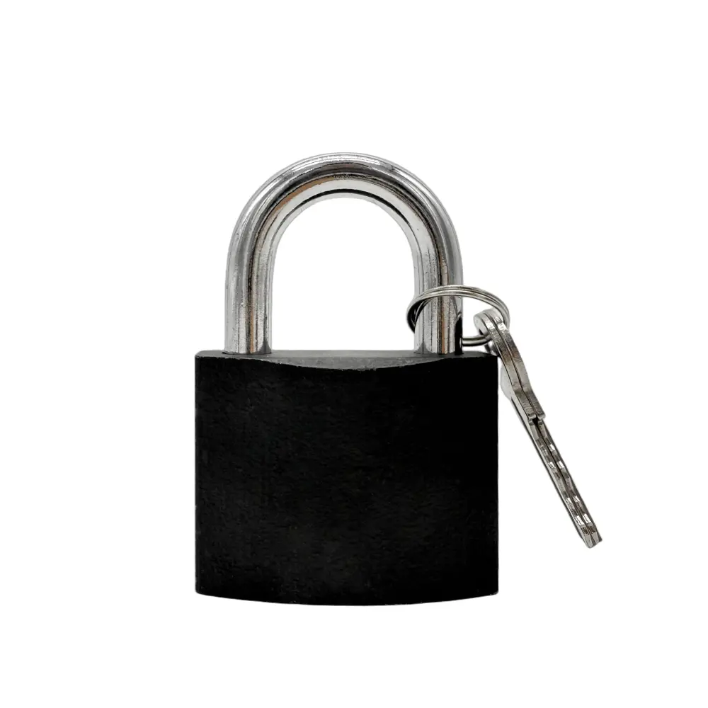 Замок внутренний DILWIS 50x62 мм чугун STLM-2094194