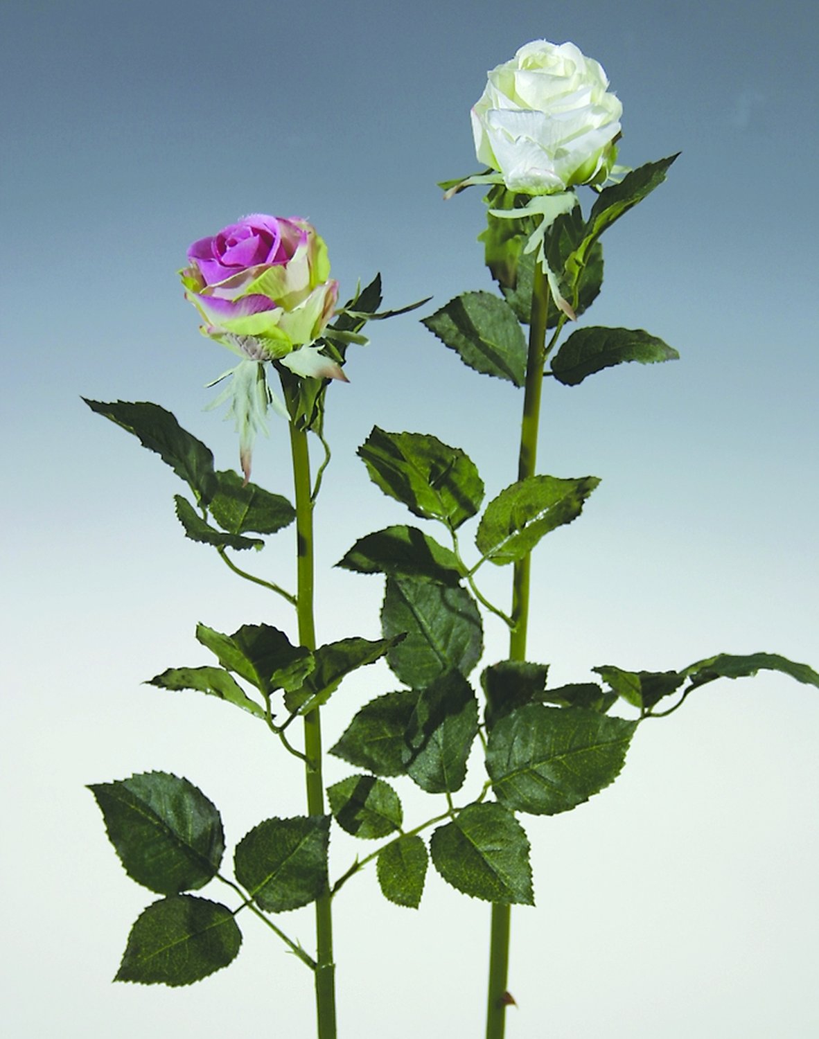 3258 777 a2 Бутоны роз искусственные, 60 см, белые H-andreas 