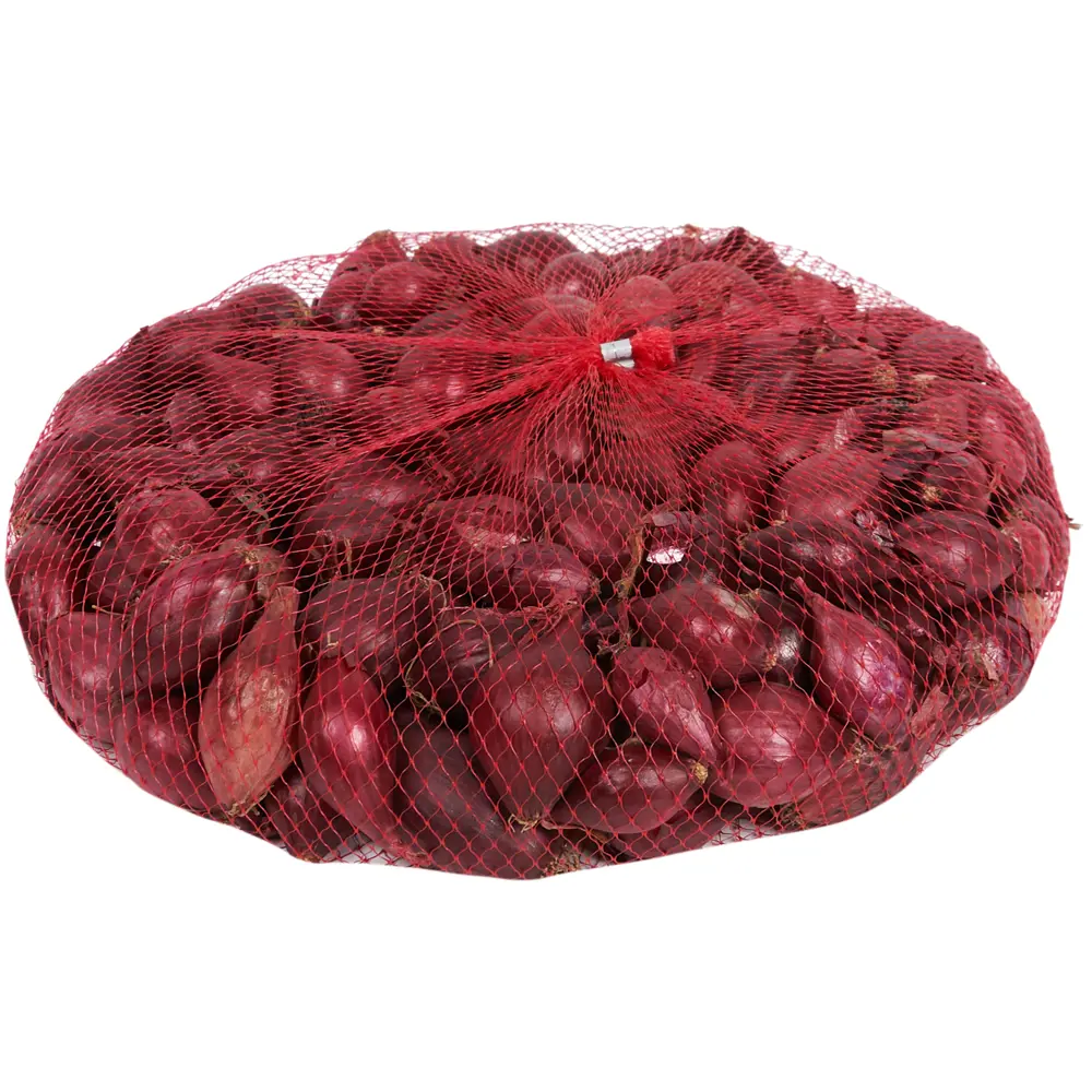 Лук-севок Кармен красный 0.5 кг Santreyd STLM-2144135