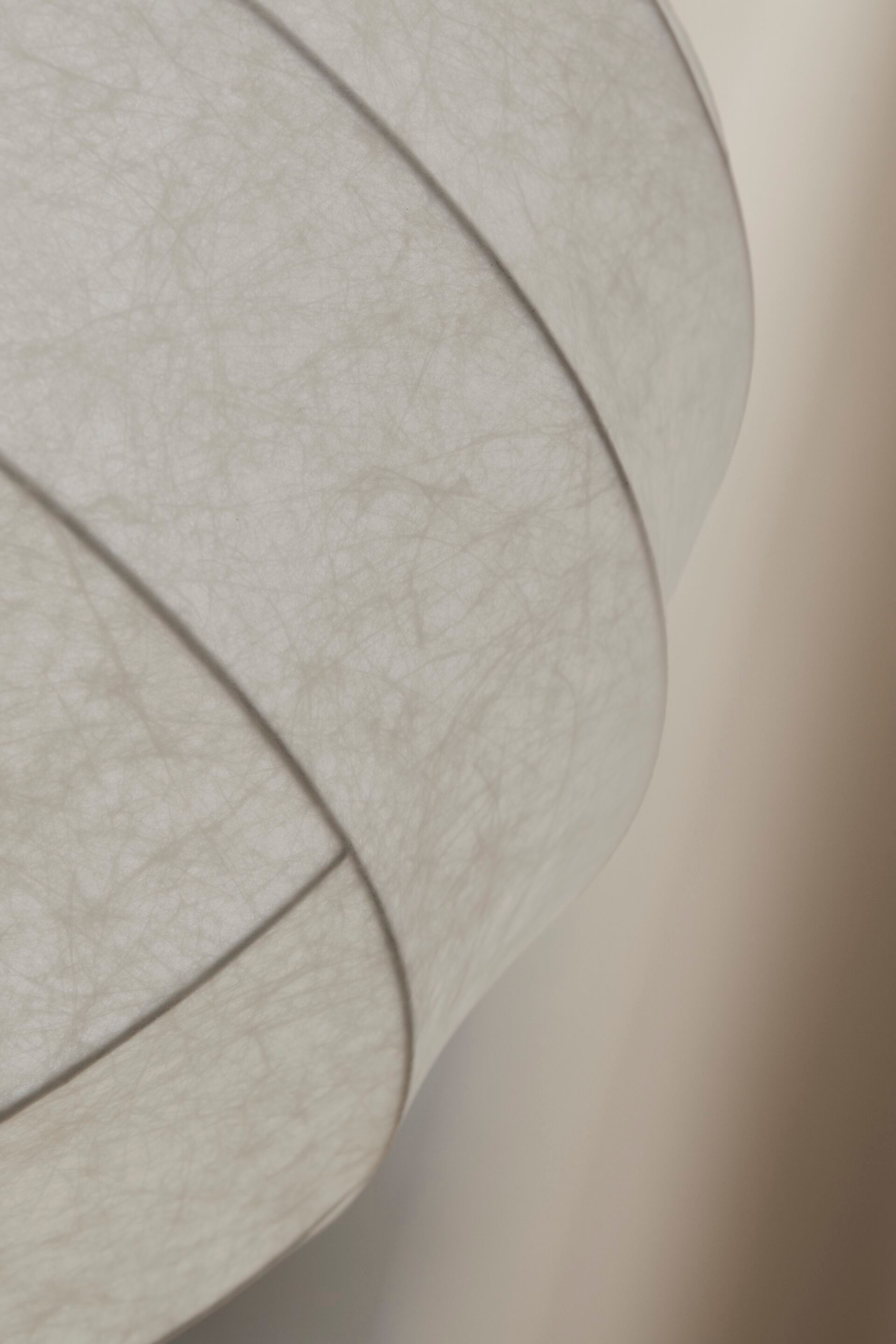 Cocoon смола подвесной светильник Pholc Turner ARCH-00065684 - Вид №4