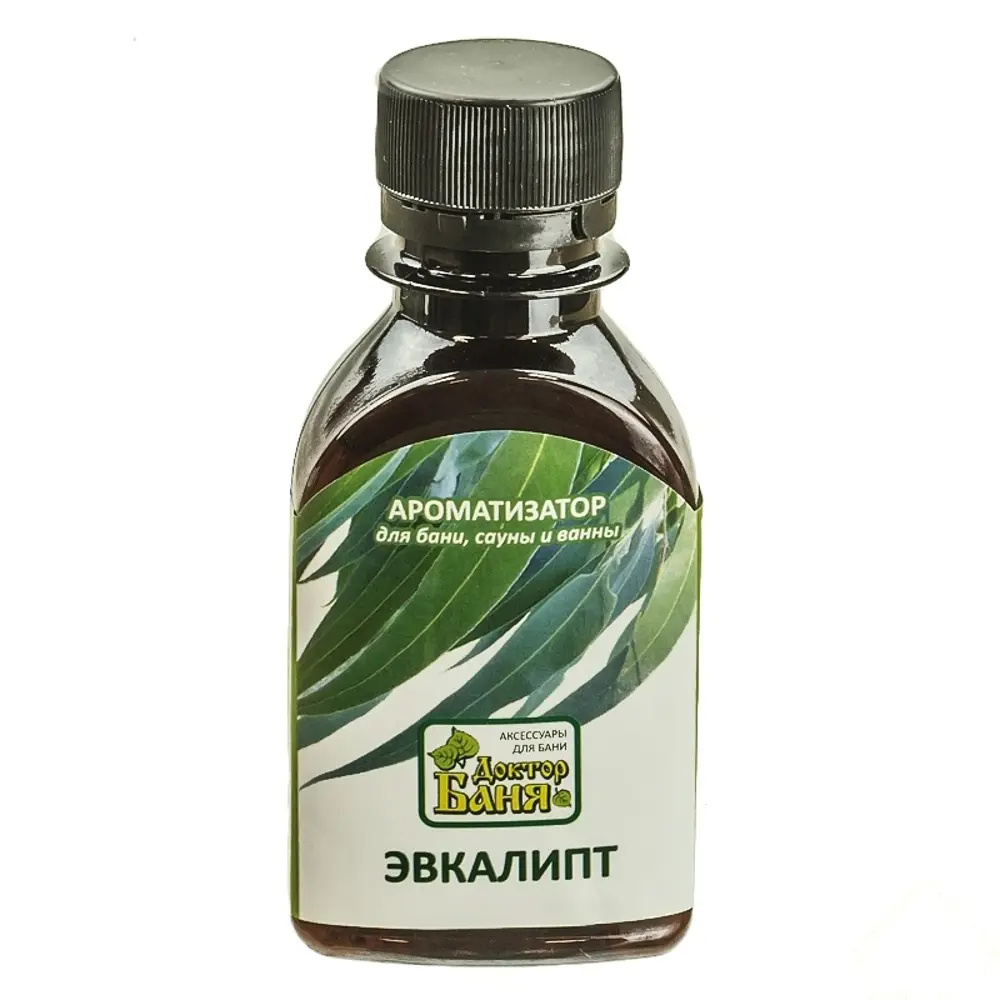 Ароматизатор Эвкалипт 100 мл Santreyd STLM-2128520