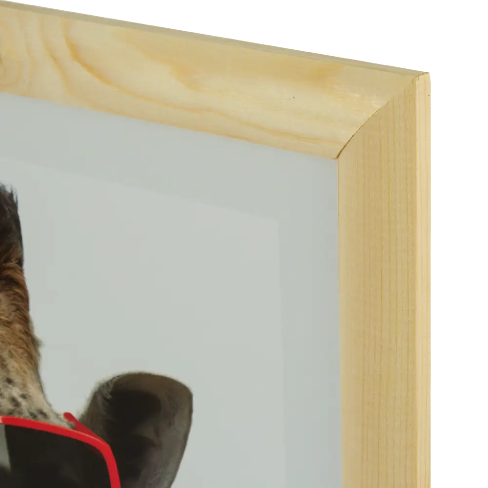 Постер в раме 40х40 см «Жираф в очках» Santreyd STLM-2071945 - Вид №1