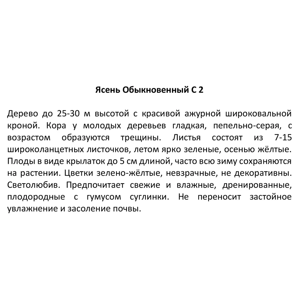 Ясень обыкновенный ø17 h50 см 87620869 STLM-2166161 Santreyd  - Вид №2