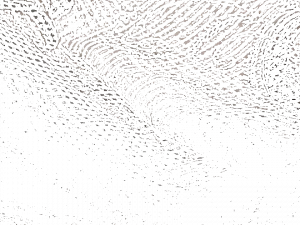 Equipo DRT Льняная ткань для штор