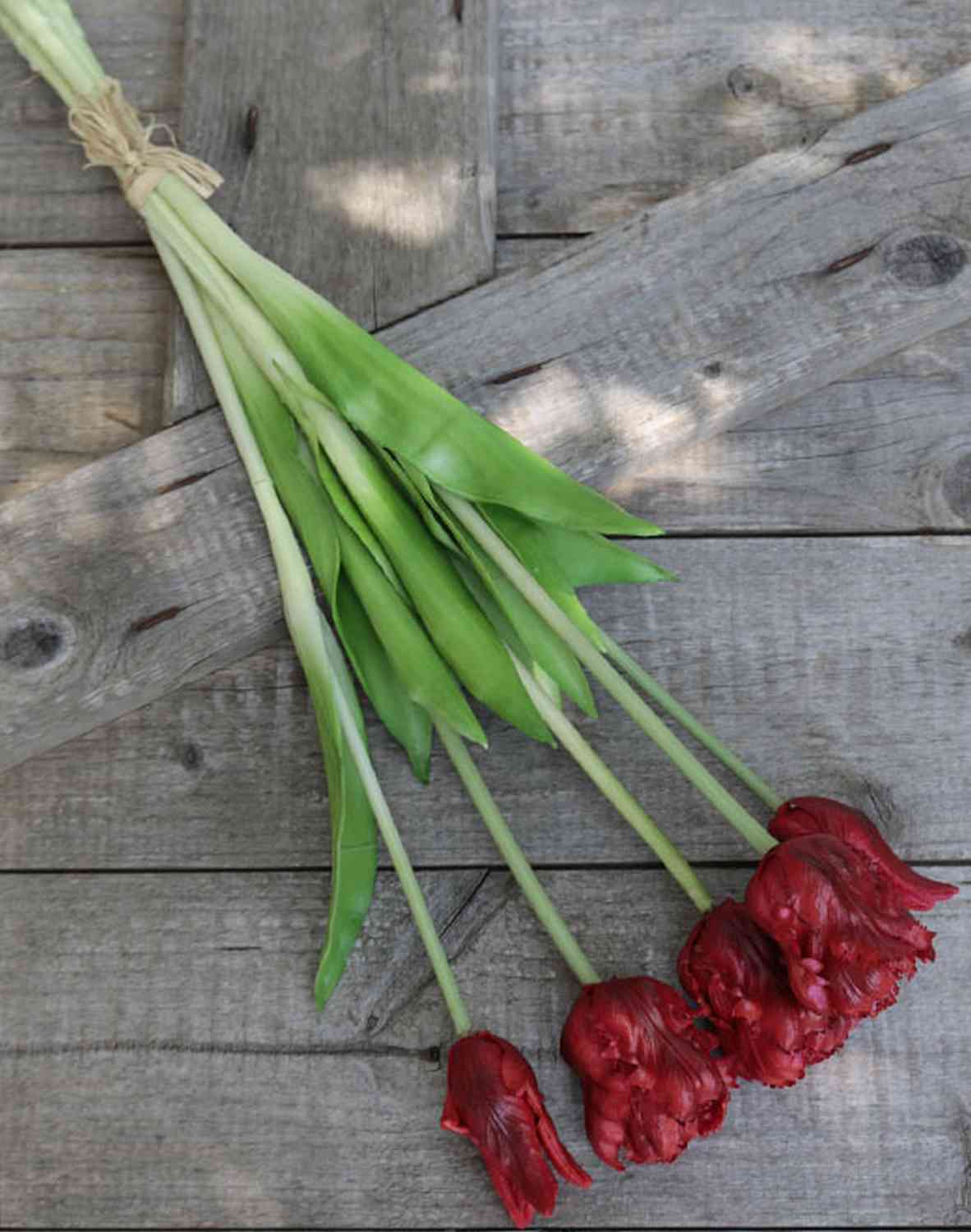 2951 444 a3 Искусственный попугай букет тюльпанов, 5-кратный, 47 см, красный H-andreas 