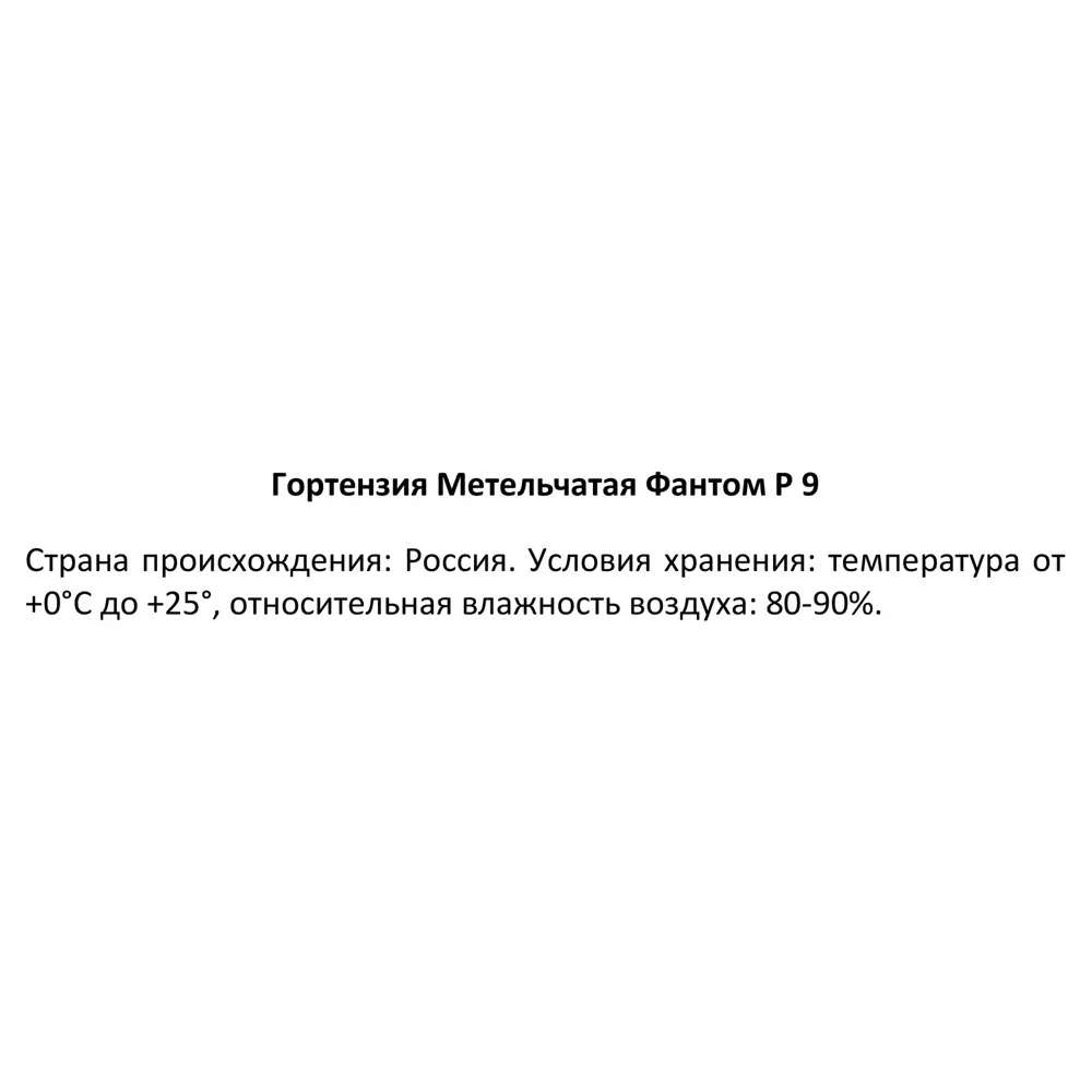 Гортензия метельчатая Фантом ø9 h30 см 89364998 STLM-2137546 Santreyd  - Вид №3