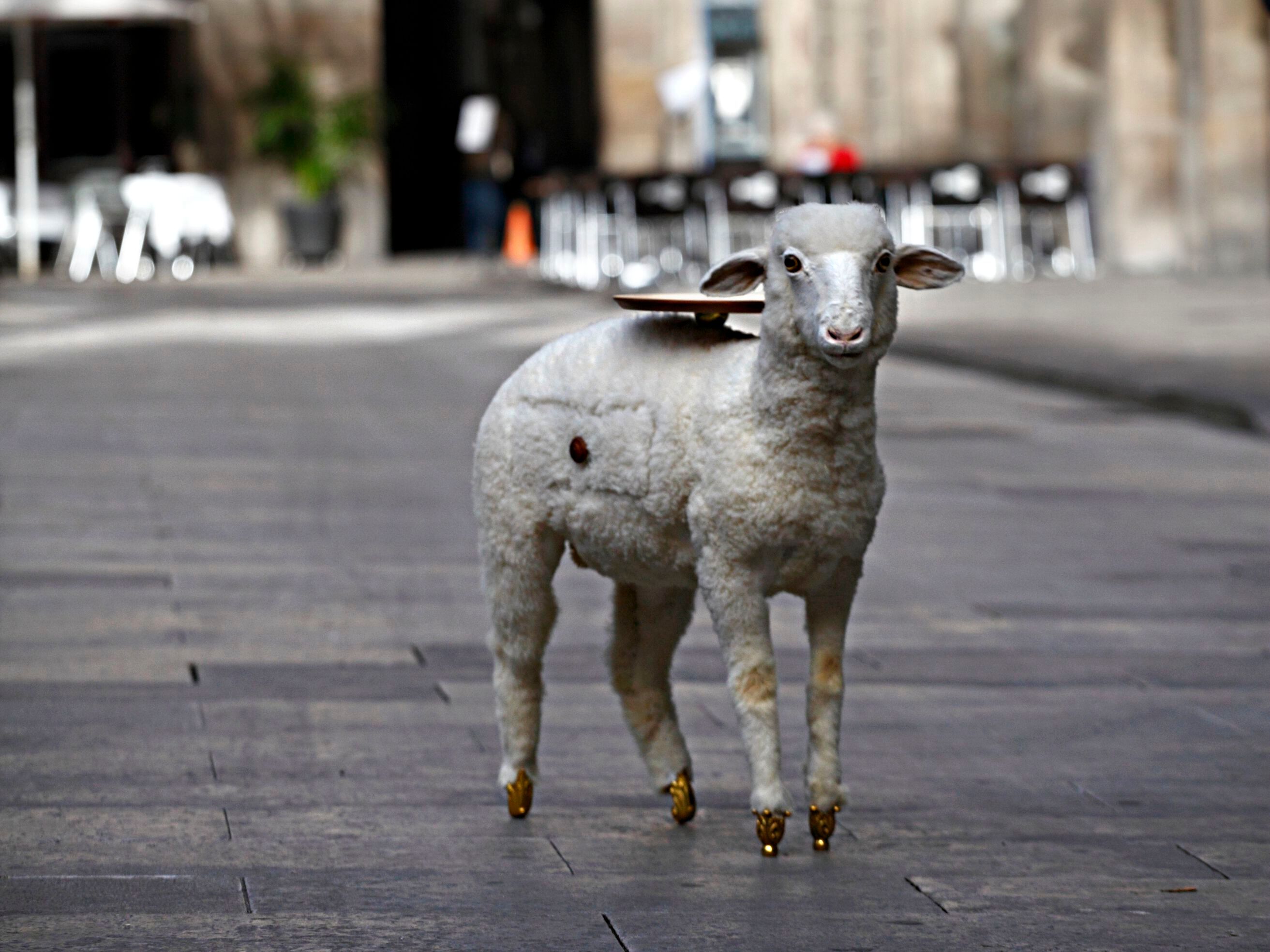 Журнальный столик BD Barcelona дали ARCH-00072581 - Вид №9