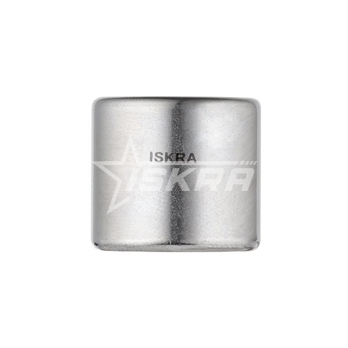 IS1541 Подшипник HK1012RS ISKRA  - Вид №5