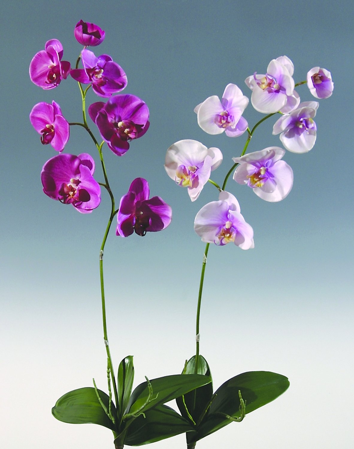 2526 220 a2 Искусственная орхидея Phalaenopsis, 73 см, real touch, светло-фиолетовый H-andreas  - Вид №2