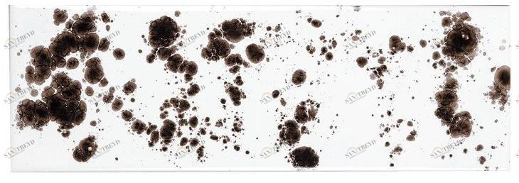 Danilo Ramazzotti Внутренняя облицовка майоликой Inchiostro simpatico Is8d