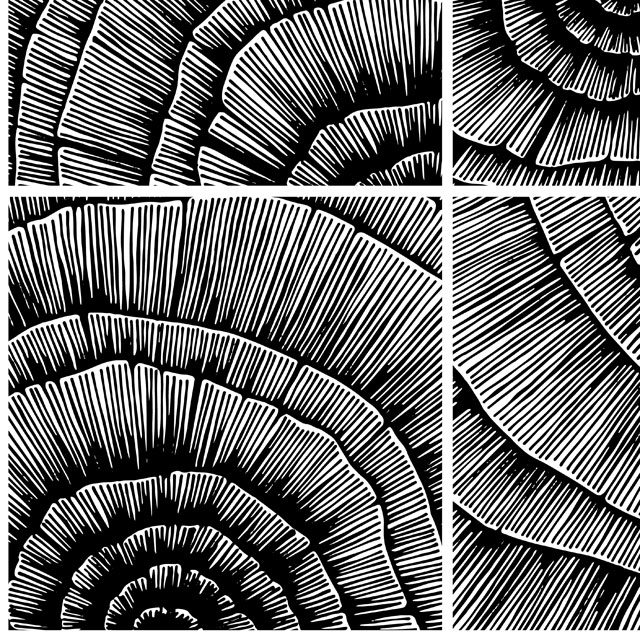 Стеновые панели - Шелл LIGRON LIST40 2185 - Вид №5