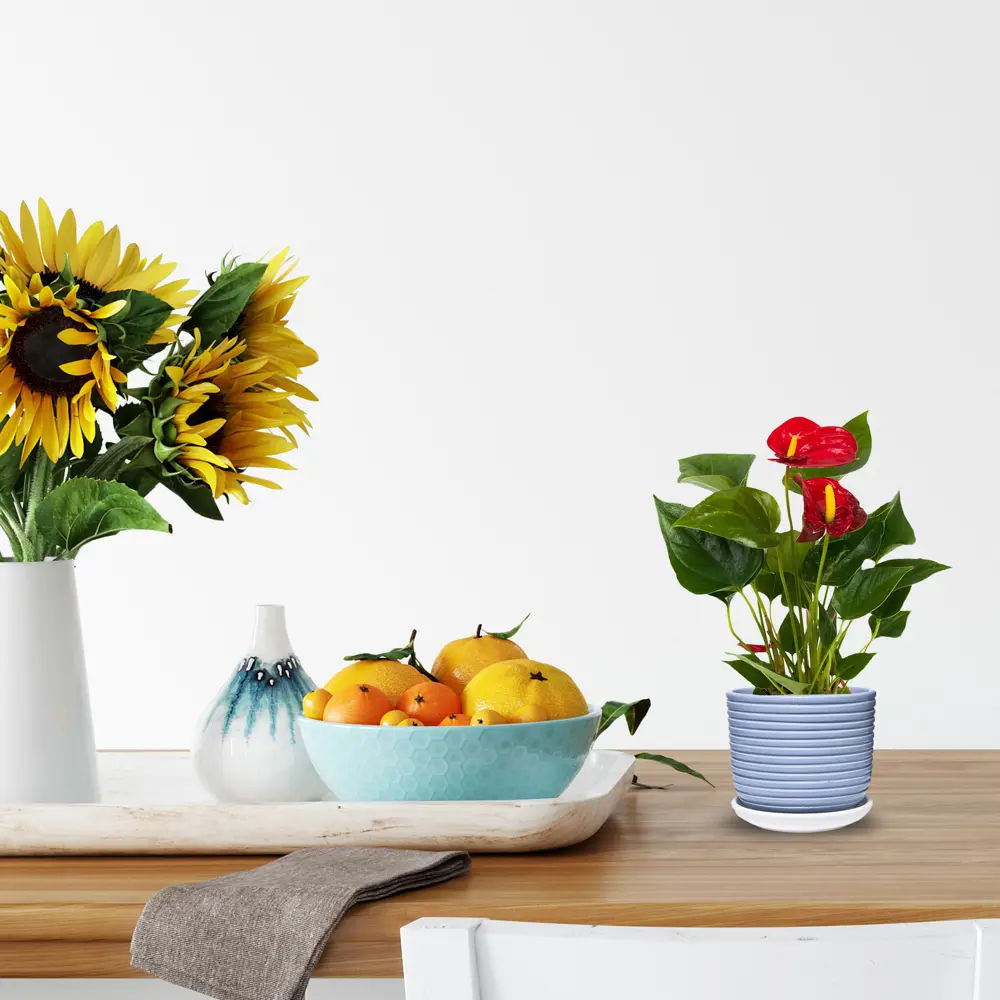 Santreyd Горшок «Спин» — керамический кашпо для комнатных растений 82836496 STLM-0036699 - Вид №2