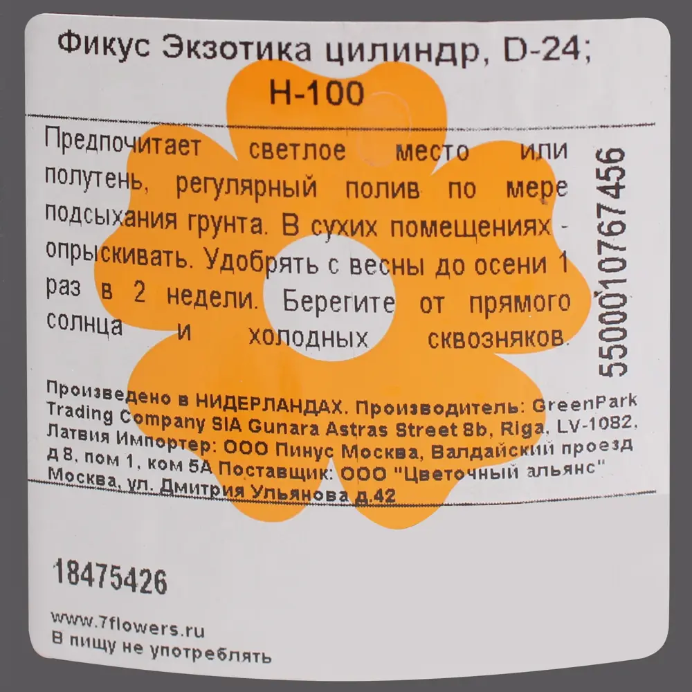 Фикус Экзотика цилиндр 24x100 см 18475426 STLM-2027132 Santreyd  - Вид №1