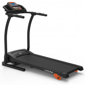 LAGUNA T-250 Беговая дорожка laguna t-250 DFC