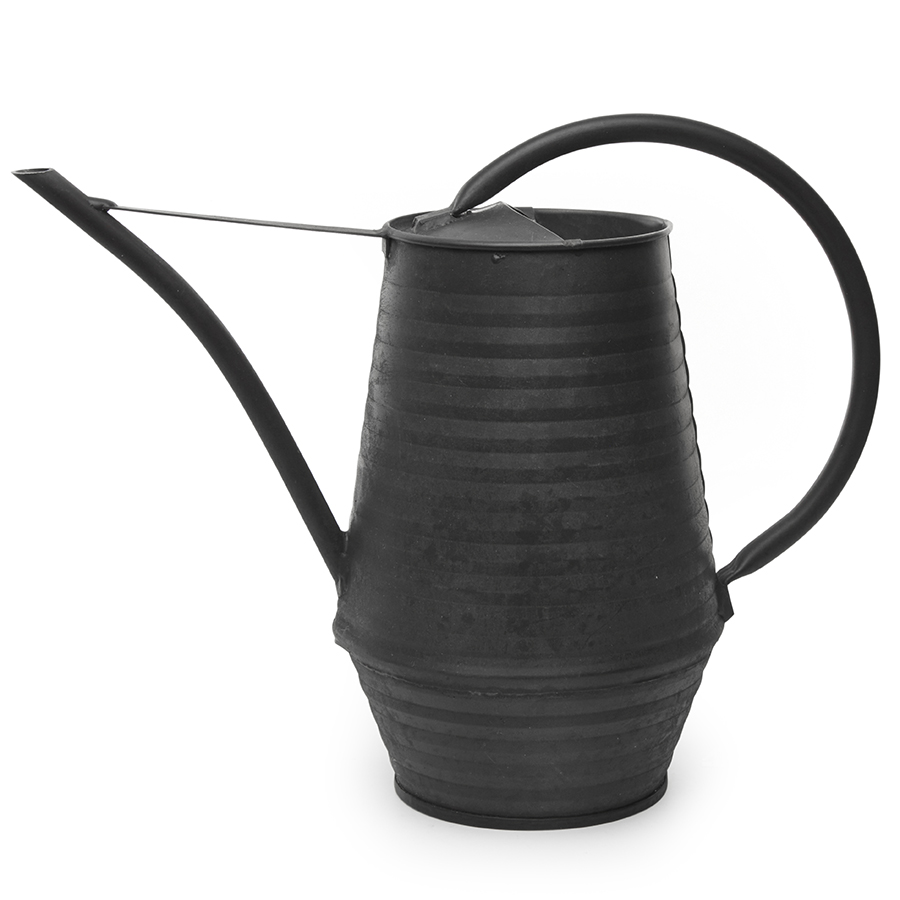 CD530 Лейка industrial Kikkerland 