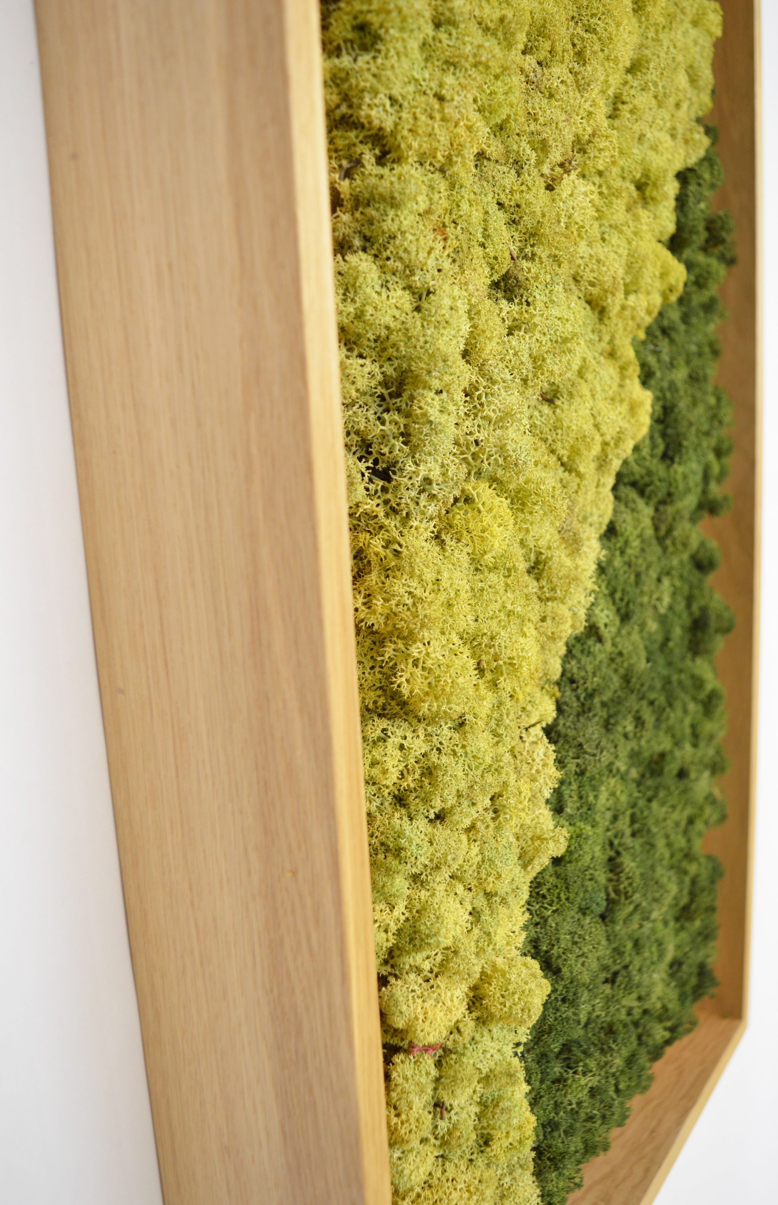 Акустическая панель из мха GREENMOOD FRAMED HARMONY ARCH-00128753 - Вид №22