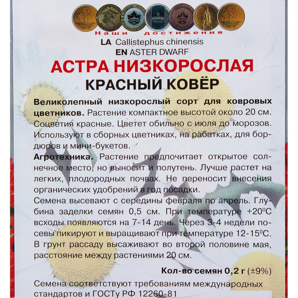 Астра низкорослая «Красный ковёр» 17229477 STLM-2094446 ПОИСК  - Вид №2