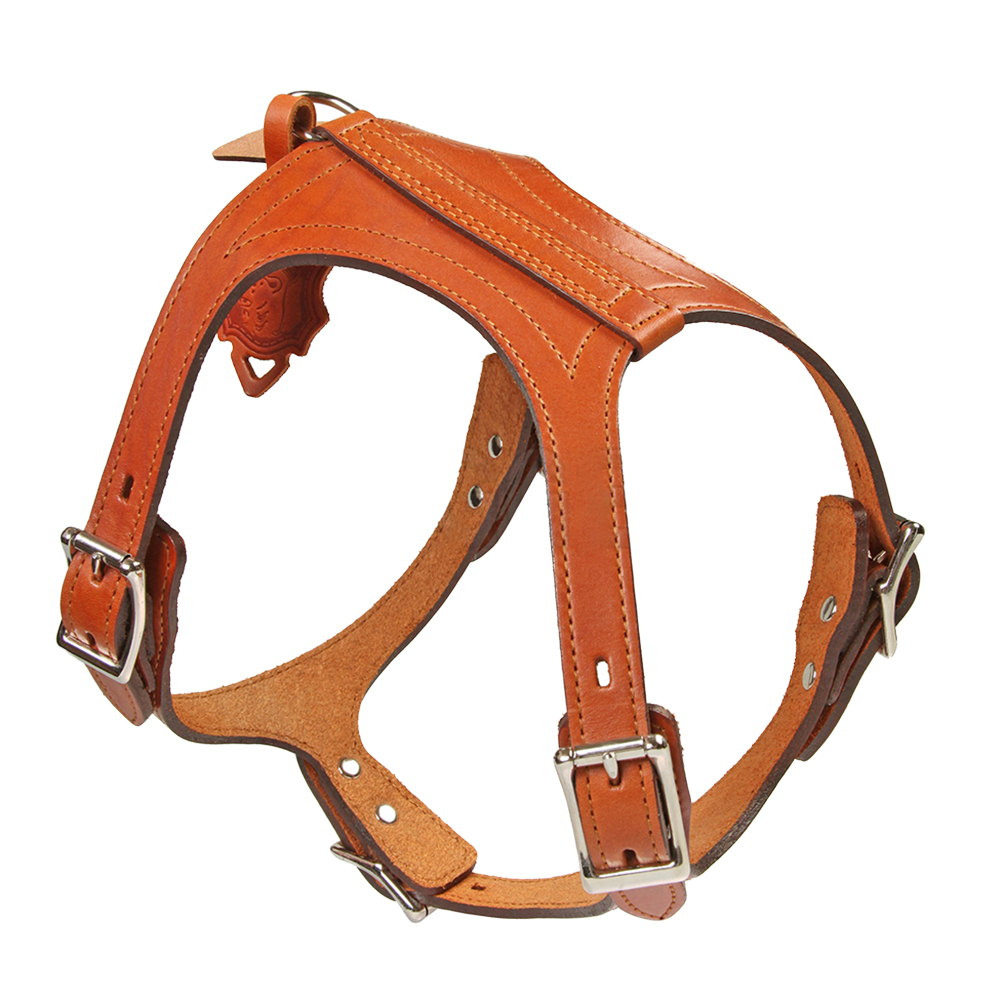 ПР0000693 Шлейка для собак тиснен. 20мм DOGGER 