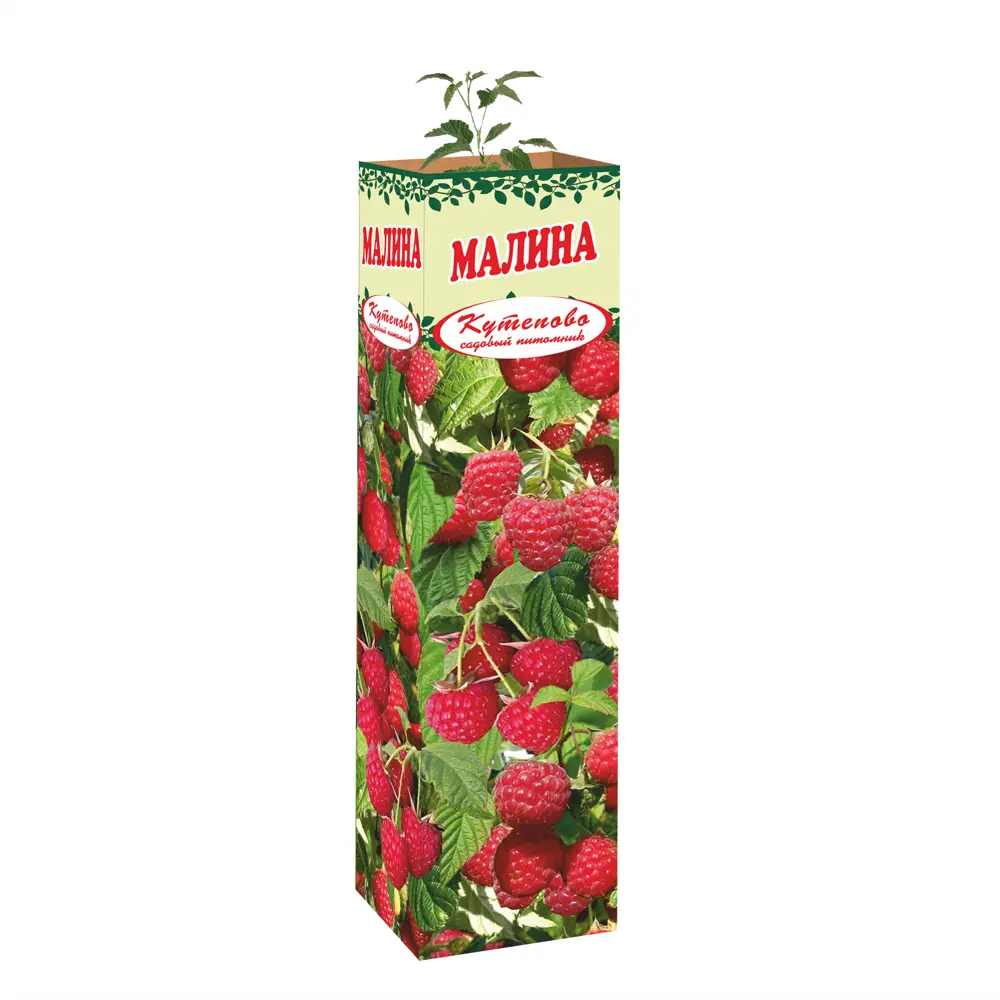 Малина Геракл в тубе 82559196 STLM-2022735 Santreyd 