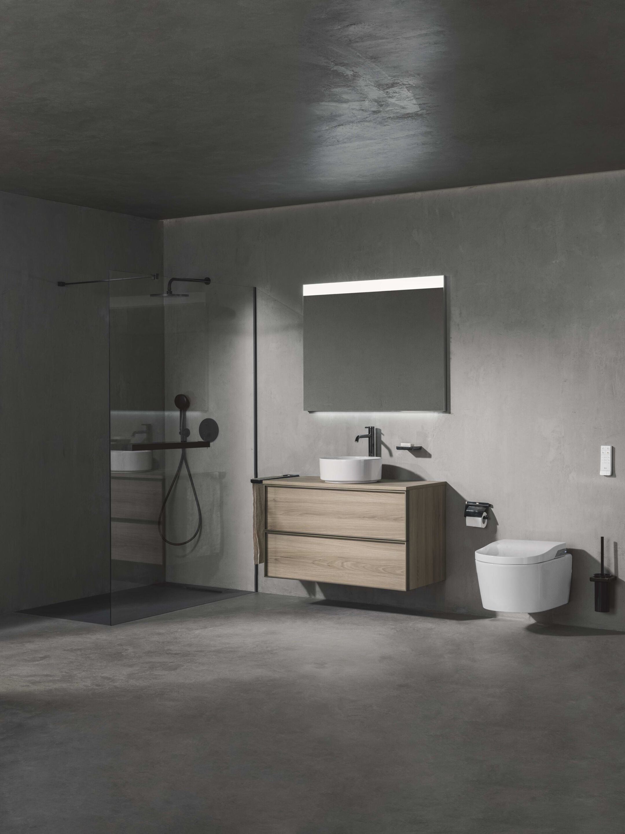 Металлический настенный душ Roca Raindream ARCH-00009094 - Вид №1