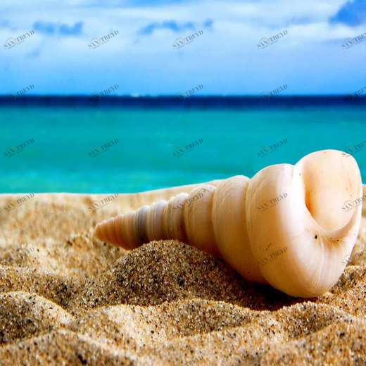 WP00967 Фотообои Verol Фотообои decoline 1х1 м