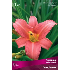 Лилейник гибридный «Пинк Дамаск» 82530247 STLM-2002702