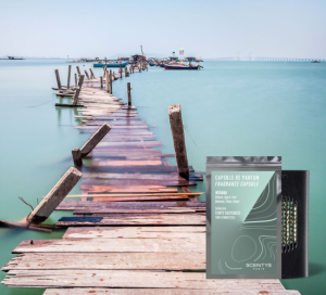 F1981 Ароматическая капсула SCENTYS