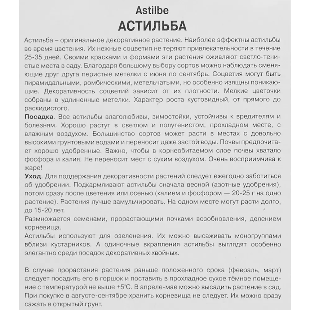 Астильба «Арендса», с капером микс Santreyd STLM-2026105 - Вид №4