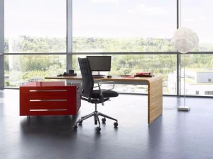 RENZ Прямоугольный письменный стол из дерева Lane