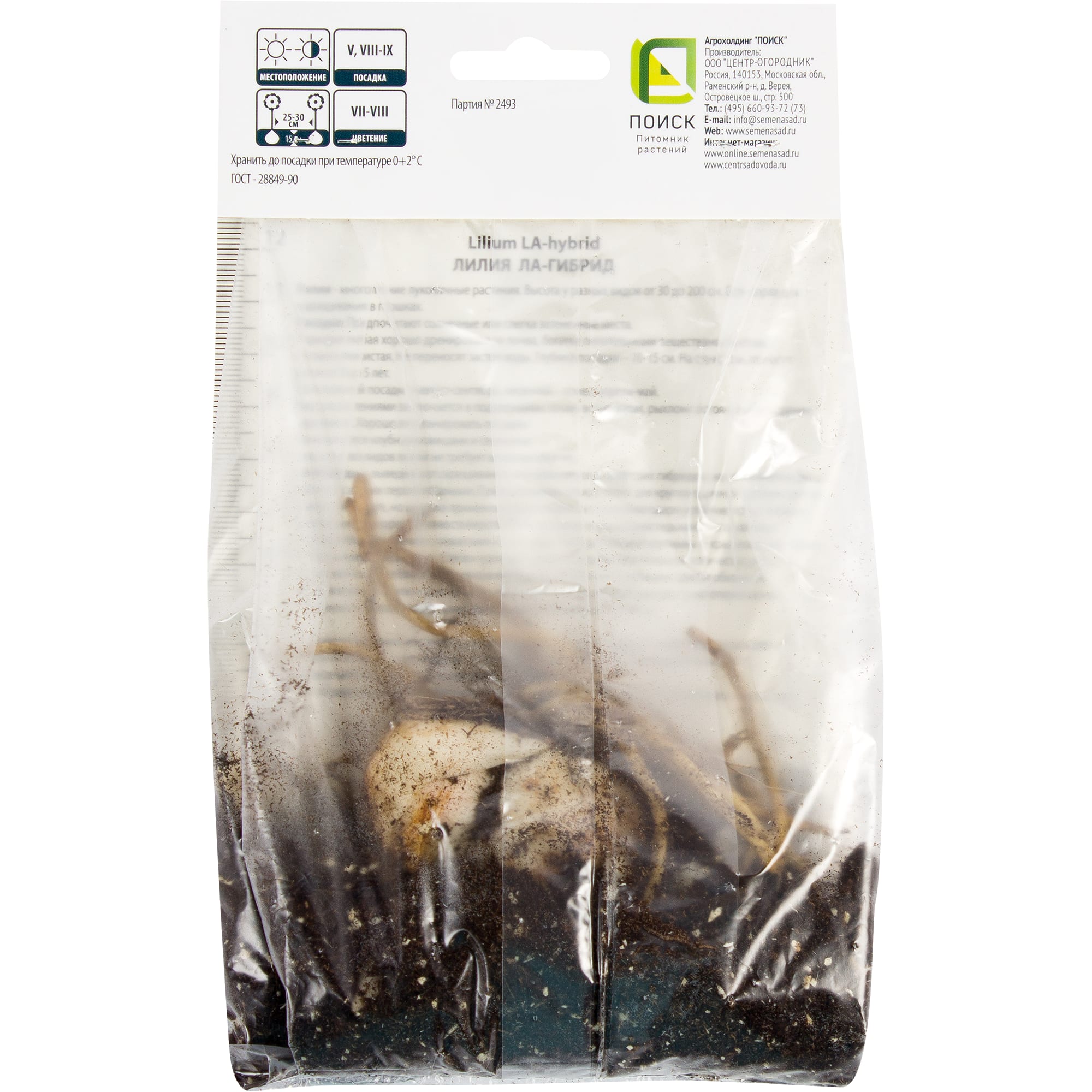 82319572 Лилия ЛА-гибрид «Литовен», размер луковицы 14/16 Santreyd  - Вид №1