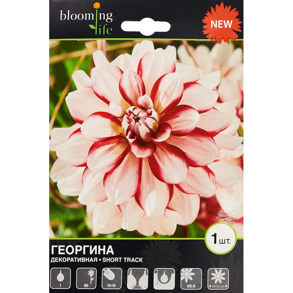 Георгина декоративная Шорт Трек 1 шт. 83628449 STLM-2188364 BLOOMING LIFE 