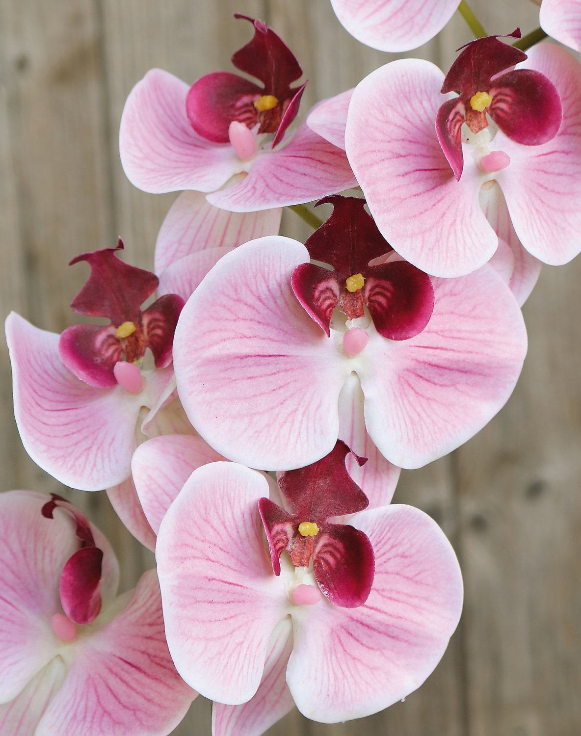 2853 510 a3 Искусственная орхидея Phalaenopsis, 106 см, real touch soft, роза H-andreas 