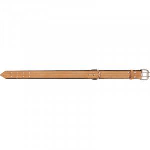 ПР0051479 Ошейник для собак HIGHT LINE 30мм тиснение, длина до 55см бежевый ZOOEXPRESS