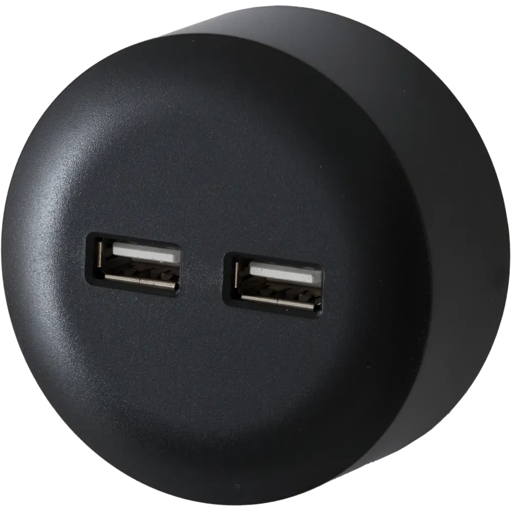 Розетка для трека 2 USB 2.1 цвет чёрный SKYBEAM STLM-2076562 - Вид №1