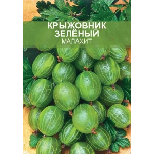 Крыжовник Малахит ø15 h50 см 85670470 STLM-2177864