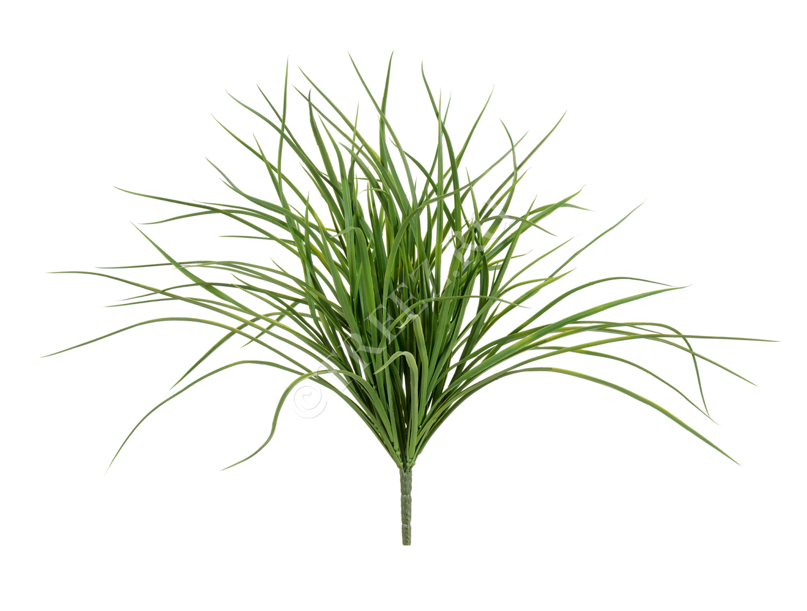 20.1431N Трава Грасс Лонг куст Цветочная коллекция 