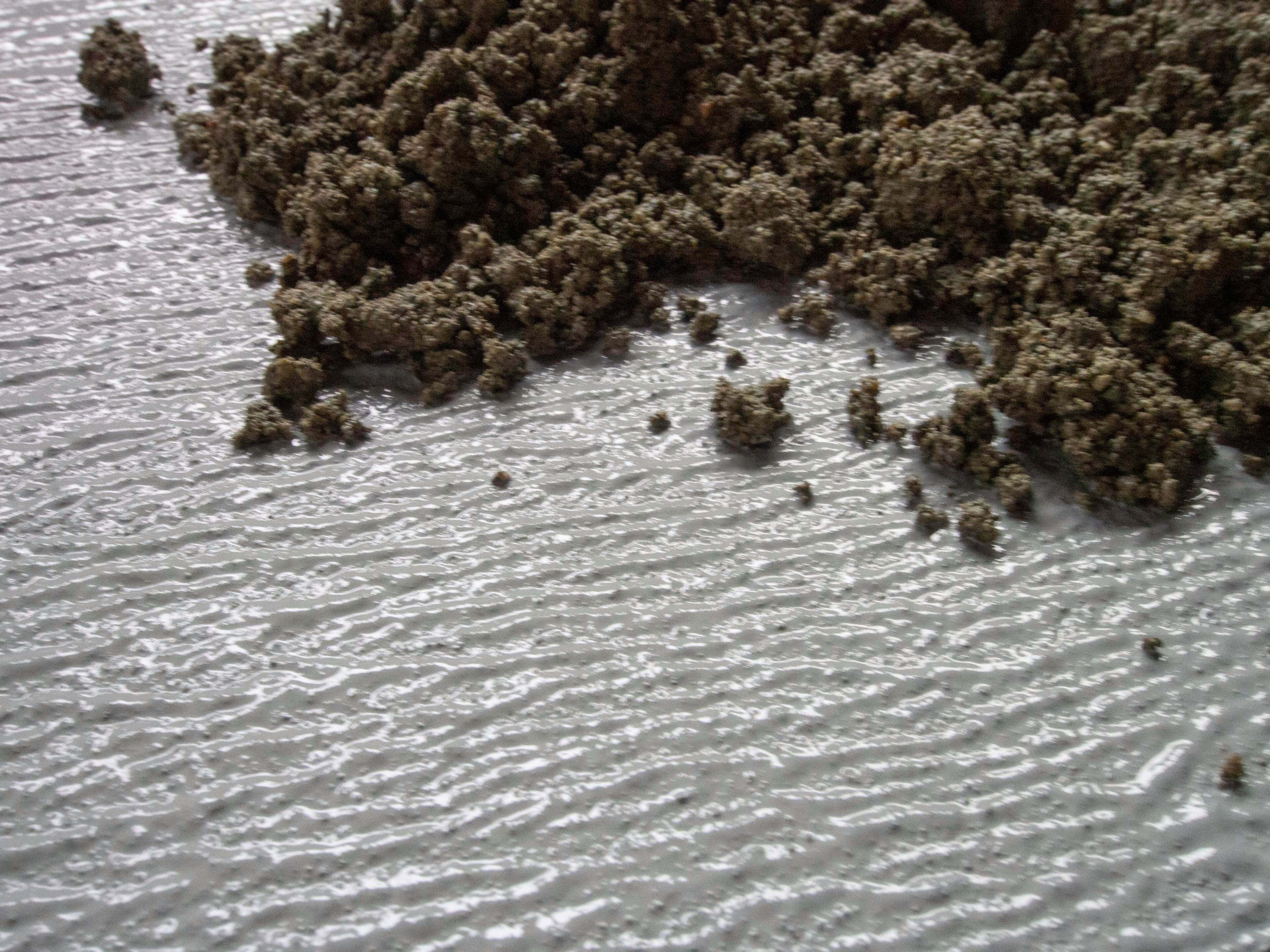 Промотор адгезии на основе смол Winkler Wingrip® ARCH-00134191 - Вид №3