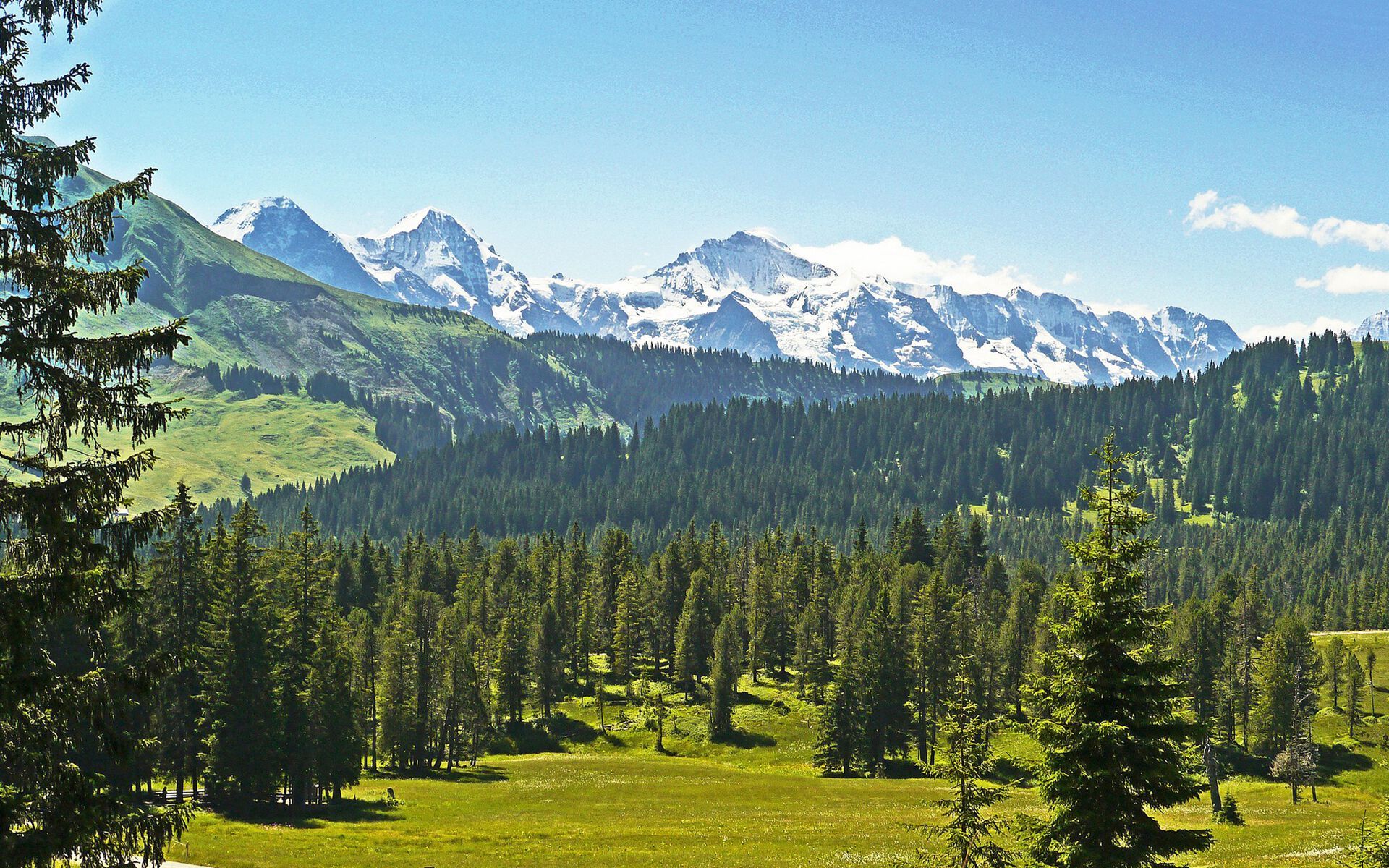 Набор для спа-ароматерапии Aquademy AROMATERAPIA IN ACQUA ARCH-00083585 - Вид №15